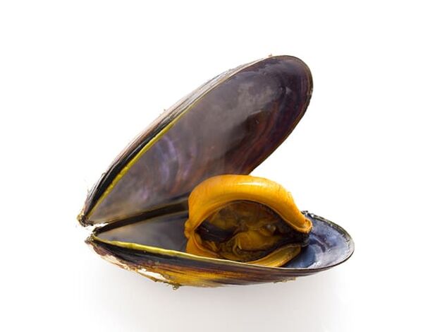 Due to the high zinc content, clams improve sperm quality